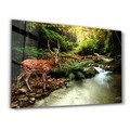 Tablou decorativ, CAM-3019, Dimensiuni: 46 x 72 cm, Multicolor