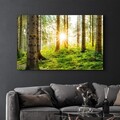 Tablou decorativ, OGLS-1084, Dimensiuni: 46 x 72 cm, Multicolor