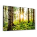 Tablou decorativ, OGLS-1084, Dimensiuni: 46 x 72 cm, Multicolor