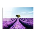 Tablou decorativ, UV-107 70 x 100, 70 x 100 cm, Multicolor