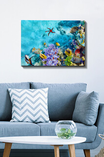 50x70 cm, Multicolor