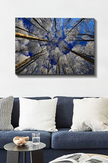 70x100 cm, Multicolor