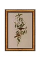 Tablou decorativ, ATCRCVCNVSMDL26, 50 x 70 cm, Multicolor