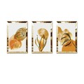 Vopsea decorativă MDF-Plexiglas (3 Pieces), Huhu399, Ramă: 100% plexiglas , Multicolor