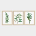 Tablou decorativ (3 Pieces), 3NTC_501923_5575, Polistiren (Grosime: 2 cm, Multicolor