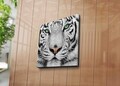 Tablou decorativ, 4545C-41, Dimensiune: 45 x 45 cm, Multicolor