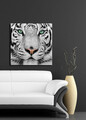 Tablou decorativ, 4545C-41, Dimensiune: 45 x 45 cm, Multicolor
