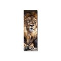 Tablou decorativ, 3090C-46, 30 x 90 cm, Multicolor