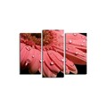 Tablou decorativ (3 Pieces), 3KBPAT-10, Dimensiune: 45 x 20 cm (1 bucată), Multicolor