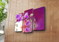 Tablou decorativ (3 Pieces), 3KBPAT-45, Dimensiune: 45 x 20 cm (1 bucată), Multicolor