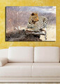 Tablou decorativ, 70100C-091, 70 x 100 cm, Multicolor
