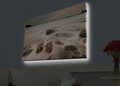 Tablou decorativ cu lumina LED, 4570HDACT-005, Dimensiune: 45 x 70 cm, Multicolor