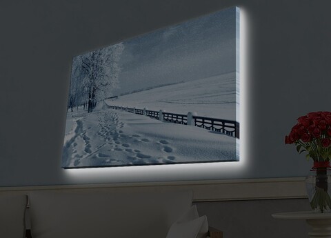 Tablou decorativ cu lumina LED, 4570HDACT-045, Dimensiune: 45 x 70 cm, Multicolor