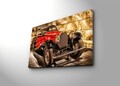 Tablou decorativ cu lumina LED, 4570İACT-66, Dimensiune: 45 x 70 cm, Multicolor