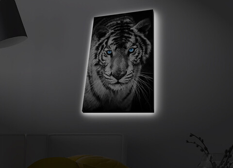 Tablou decorativ cu lumina LED, 4570MDACT-053, Dimensiune: 45 x 70 cm, Multicolor