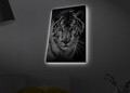 Tablou decorativ cu lumina LED, 4570MDACT-053, Dimensiune: 45 x 70 cm, Multicolor