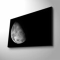 Tablou decorativ cu lumina LED, NASA-031, Dimensiune: 45 x 70 cm, Multicolor