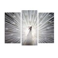 Tablou decorativ cu lumina LED (3 Pieces), 3PATDACT-12, Dimensiune: 20 x 39 cm (2 bucăți), Multicolor