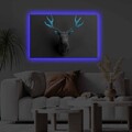 Tablou decorativ cu lumina LED, 4570KTLGDACT, Dimensiune: 45 x 70 cm, Multicolor