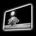 Tablou decorativ cu lumina LED, 4570KTLGDACT, Dimensiune: 45 x 70 cm, Multicolor