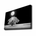 Tablou decorativ cu lumina LED, 4570KTLGDACT, Dimensiune: 45 x 70 cm, Multicolor