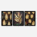 Set 3 tablouri decorative, 3SC28, Plastic, Multicolor
