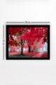Tablou decorativ, SC0881, Lemn (Grosime: 3 cm, Multicolor