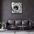 Tablou decorativ, Kgls_2015, Dimensiune: 50 x 50, Multicolor