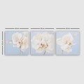 Tablou decorativ (3 Pieces), 3P6770, Lemn (Grosime: 3 cm, Multicolor