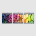 Tablou decorativ (3 Pieces), P2253353, Lemn (Grosime: 3 cm, Multicolor