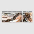 Tablou decorativ (3 Pieces), PRC12431217520, Lemn (Grosime: 3 cm, Multicolor