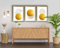 Set 3 tablouri decorative, 3P3853NISCT-017, Lemn, Aur / nurcă / alb