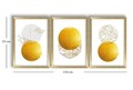 Set 3 tablouri decorative, 3P3853NISCT-017, Lemn, Aur / nurcă / alb