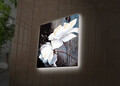 Tablou decorativ cu lumina LED, 2828DACT-2, Dimensiune: 28 x 28 cm, Multicolor
