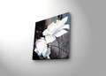Tablou decorativ cu lumina LED, 2828DACT-2, Dimensiune: 28 x 28 cm, Multicolor