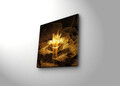 Tablou decorativ cu lumina LED, 4040DACT-6, Dimensiune: 40 x 40 cm, Multicolor