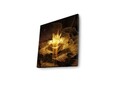 Tablou decorativ cu lumina LED, 4040DACT-6, Dimensiune: 40 x 40 cm, Multicolor