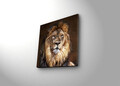 Tablou decorativ cu lumina LED, 4040İACT-20, Dimensiune: 40 x 40 cm, Multicolor