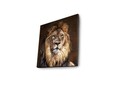 Tablou decorativ cu lumina LED, 4040İACT-20, Dimensiune: 40 x 40 cm, Multicolor