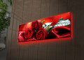 Tablou decorativ cu lumina LED, 3090DACT-31, 30 x 90 cm, Multicolor