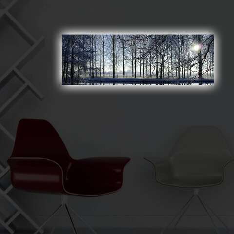 Tablou decorativ cu lumina LED, 3090DACT-37, 30 x 90 cm, Multicolor