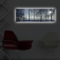 Tablou decorativ cu lumina LED, 3090DACT-37, 30 x 90 cm, Multicolor