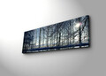 Tablou decorativ cu lumina LED, 3090DACT-37, 30 x 90 cm, Multicolor