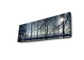 Tablou decorativ cu lumina LED, 3090DACT-37, 30 x 90 cm, Multicolor