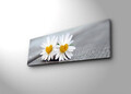 Tablou decorativ cu lumina LED, 3090İACT-12, 30 x 90 cm, Multicolor