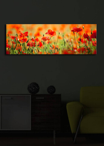 Tablou decorativ cu lumina LED, 3090İACT-13, 30 x 90 cm, Multicolor