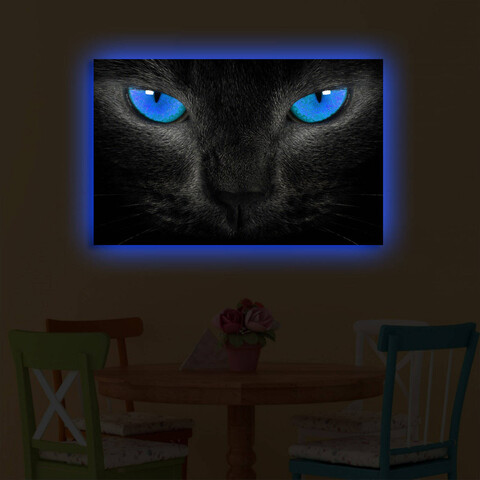 Tablou decorativ cu lumina LED, 4570DACT-45, Dimensiune: 45 x 70 cm, Multicolor