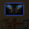 Tablou decorativ cu lumina LED, 4570DACT-45, Dimensiune: 45 x 70 cm, Multicolor