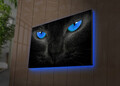 Tablou decorativ cu lumina LED, 4570DACT-45, Dimensiune: 45 x 70 cm, Multicolor