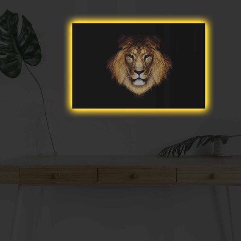Tablou decorativ cu lumina LED, 4570DHDACT-045, Dimensiune: 45 x 70 cm, Multicolor